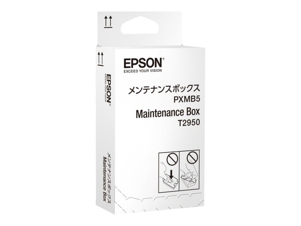 Epson Wartungsbox C13T295000 für WorkForce WF-100 WF-100W